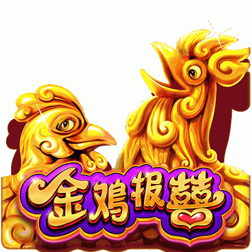 金鸡报囍